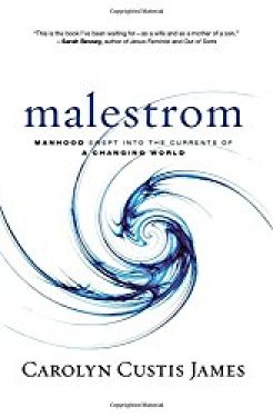 Malestrom: Manhood Swept Into the Currents of a Changing World by Carolyn Custis James